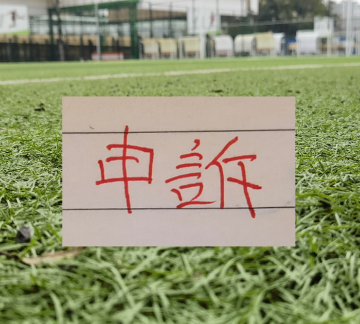 2026世界杯足球-北京国安曹永竞踩踏大连外援红牌 最终决定正确！|中国足协|成都蓉城|韦世豪|王竞|比赛_新浪体育_新浪新闻